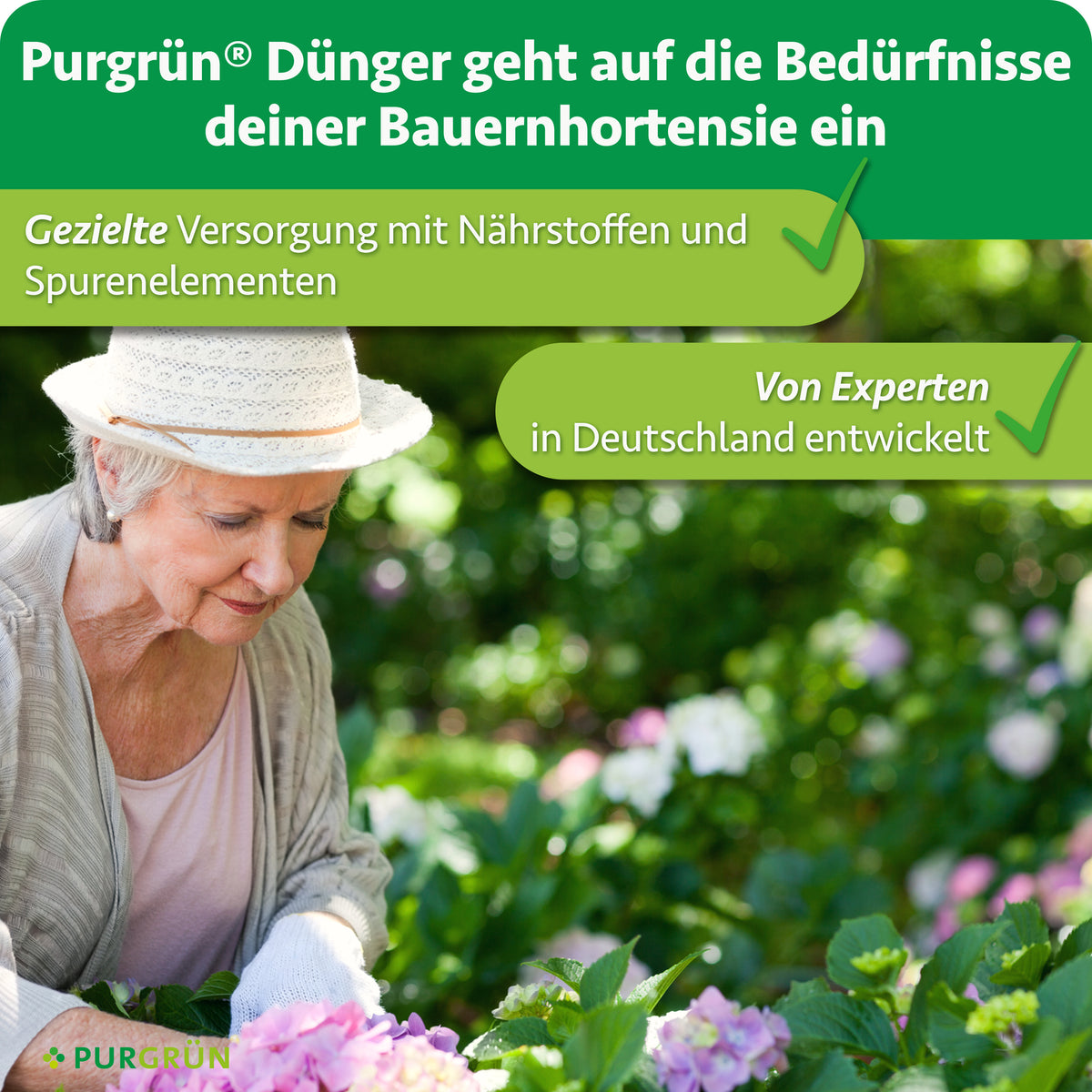 Purgrün Bauernhortensie-Dünger: gezielte Versorgung mit Nährstoffen und Spurenelementen, von Experten in Deutschland entwickelt.