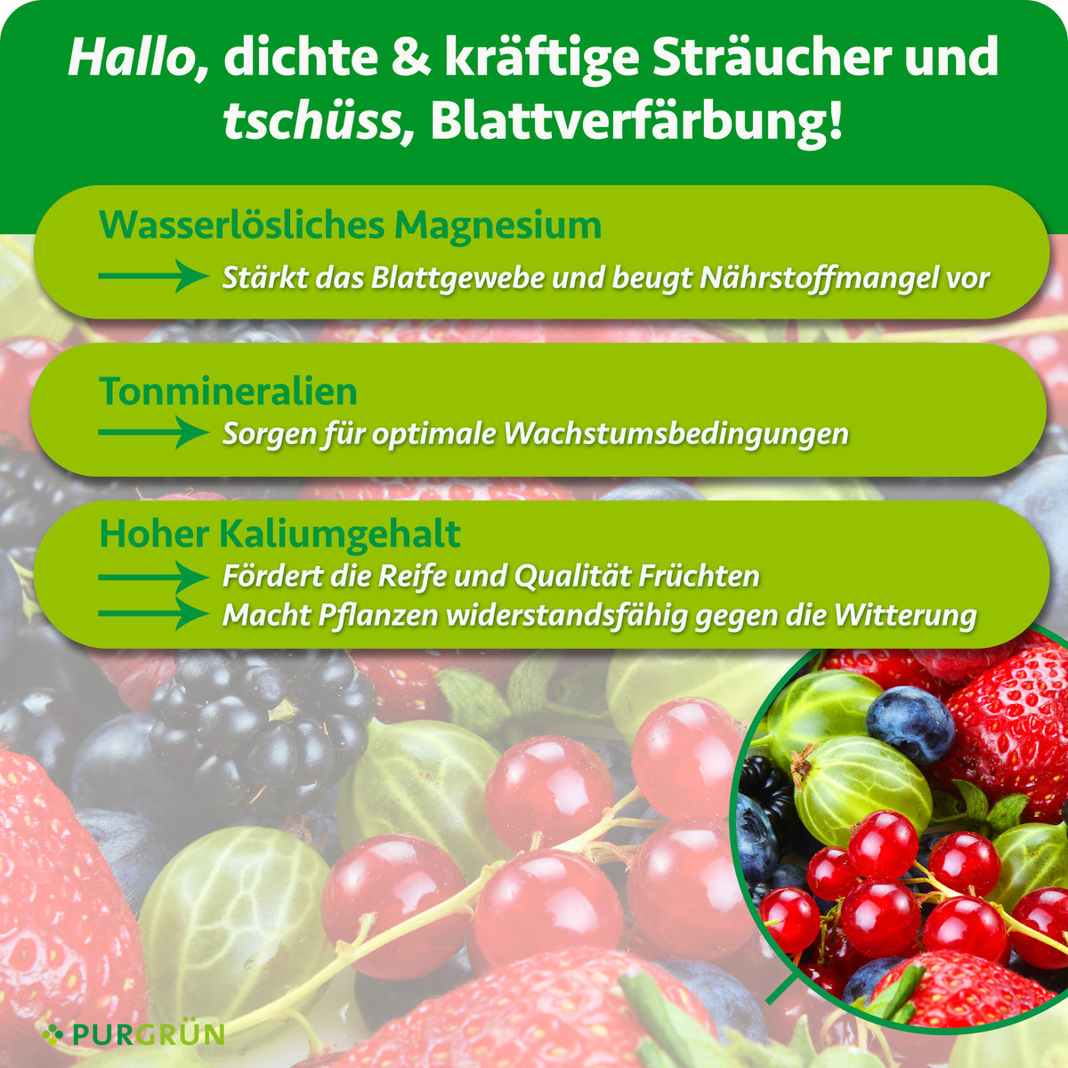 Wasserlösliches Magnesium stärkt das Blattgewebe und beugt Nährstoffmangel vor; Tonmineralien und Kalium fördern Wachstumsbedingungen, Fruchtreife und Widerstandsfähigkeit.