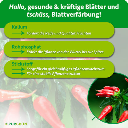 Kalium fördert Reife und Qualität der Früchte, Rohphosphat stärkt die Pflanze von der Wurzel bis zur Spitze. Stickstoff unterstützt gleichmäßiges Wachstum und eine stabile Pflanzenstruktur.