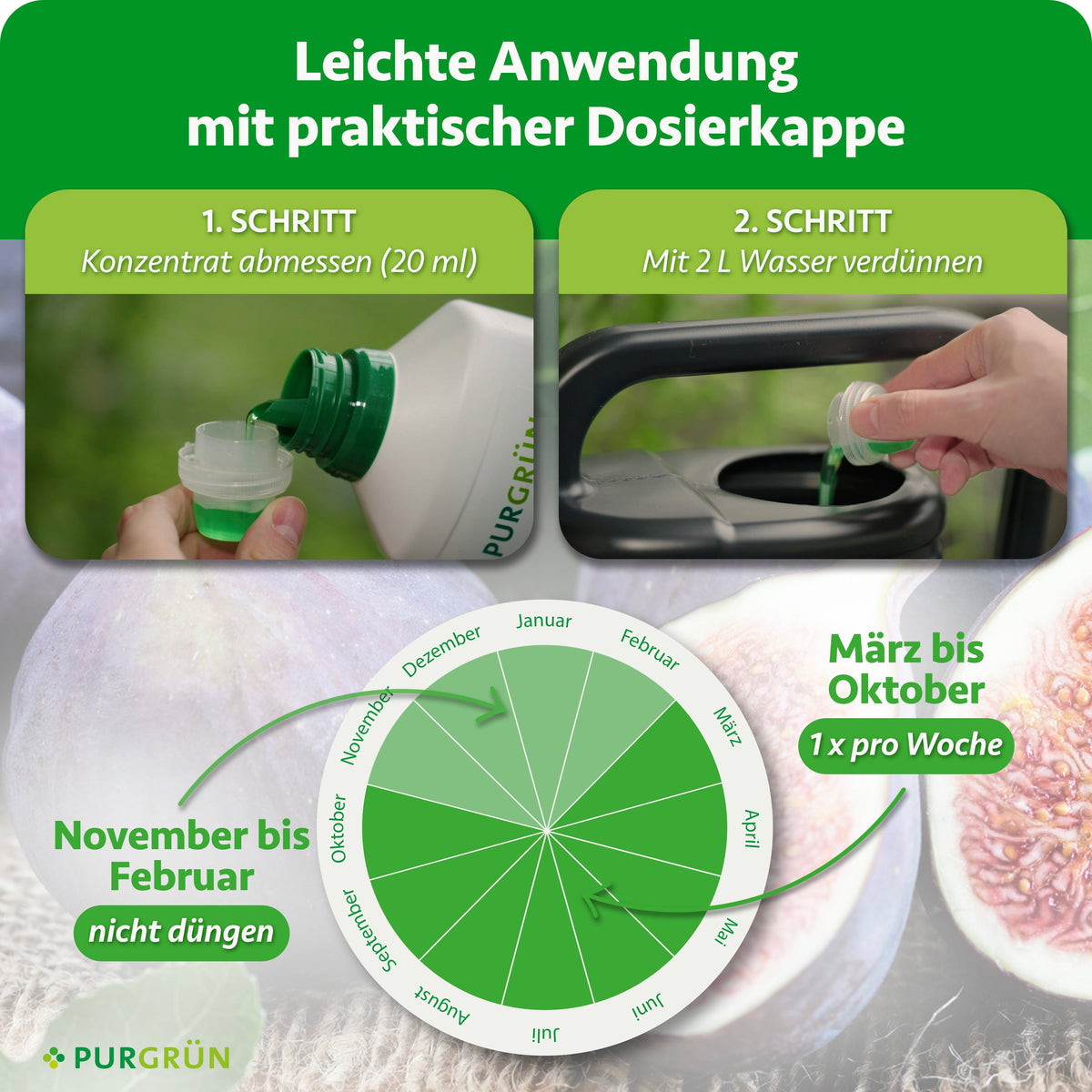 Anwendung: 20 ml Konzentrat mit 2 Litern Wasser verdünnen. Von März bis Oktober einmal wöchentlich düngen, von November bis Februar nicht düngen.
