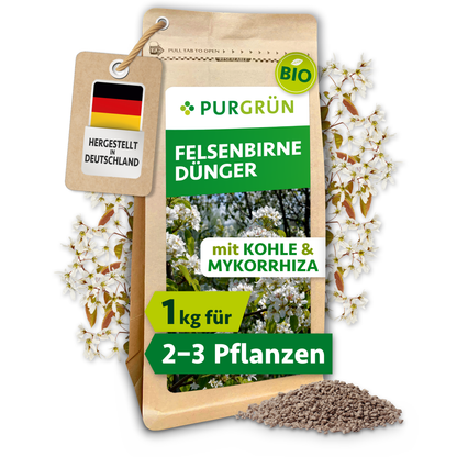 Purgrün Bio-Felsenbirne-Dünger im 1-kg-Beutel mit Kohle und Mykorrhiza, ausreichend für ca. 2–3 Felsenbirnen.
