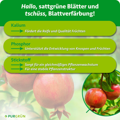 Kalium fördert Reife und Qualität der Früchte, Phosphor die Entwicklung von Knospen und Früchten, Stickstoff gleichmäßiges Wachstum und eine stabile Pflanzenstruktur.