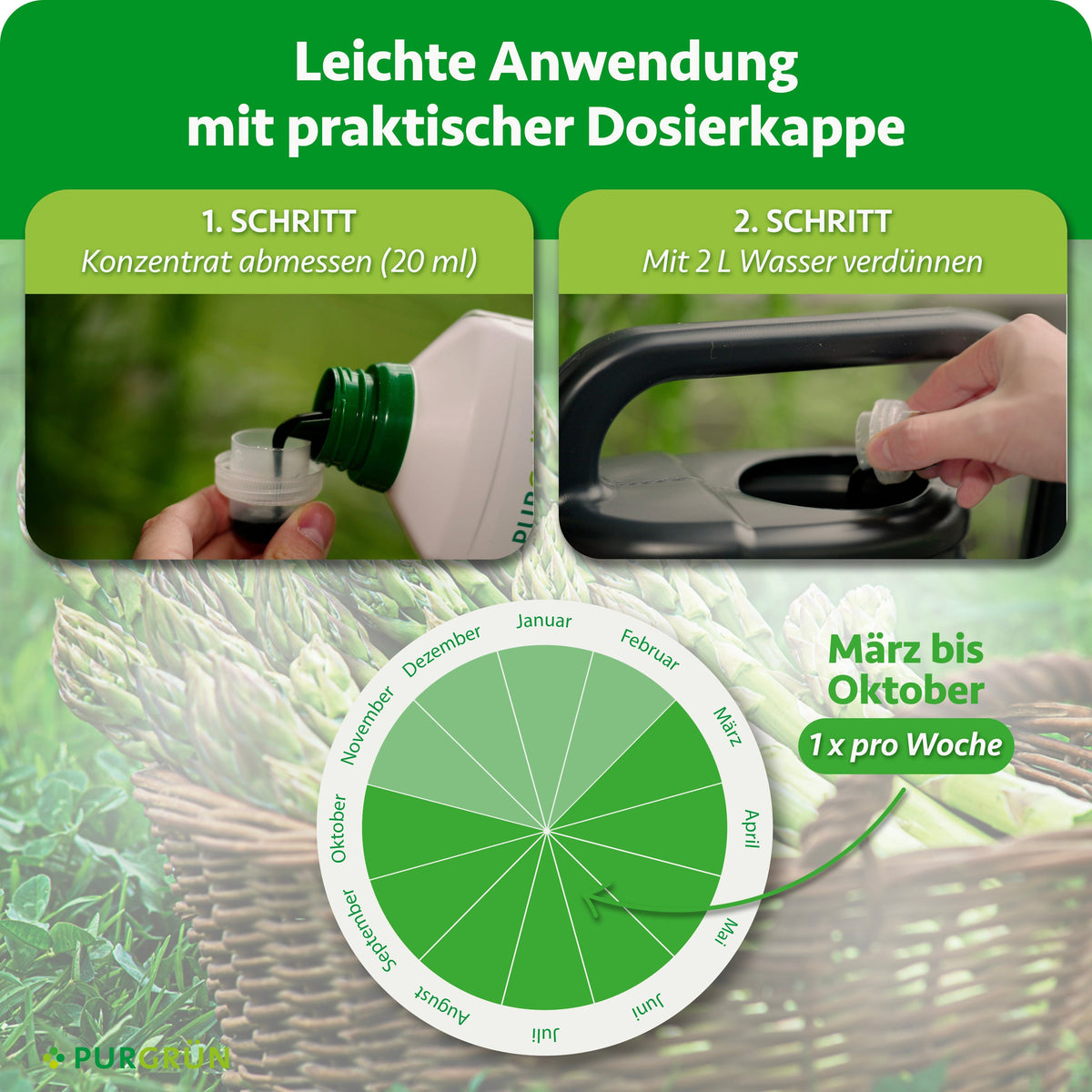 Anwendung von März bis Oktober 1x pro Woche: 20 ml Konzentrat abmessen und mit 2 L Wasser verdünnen.