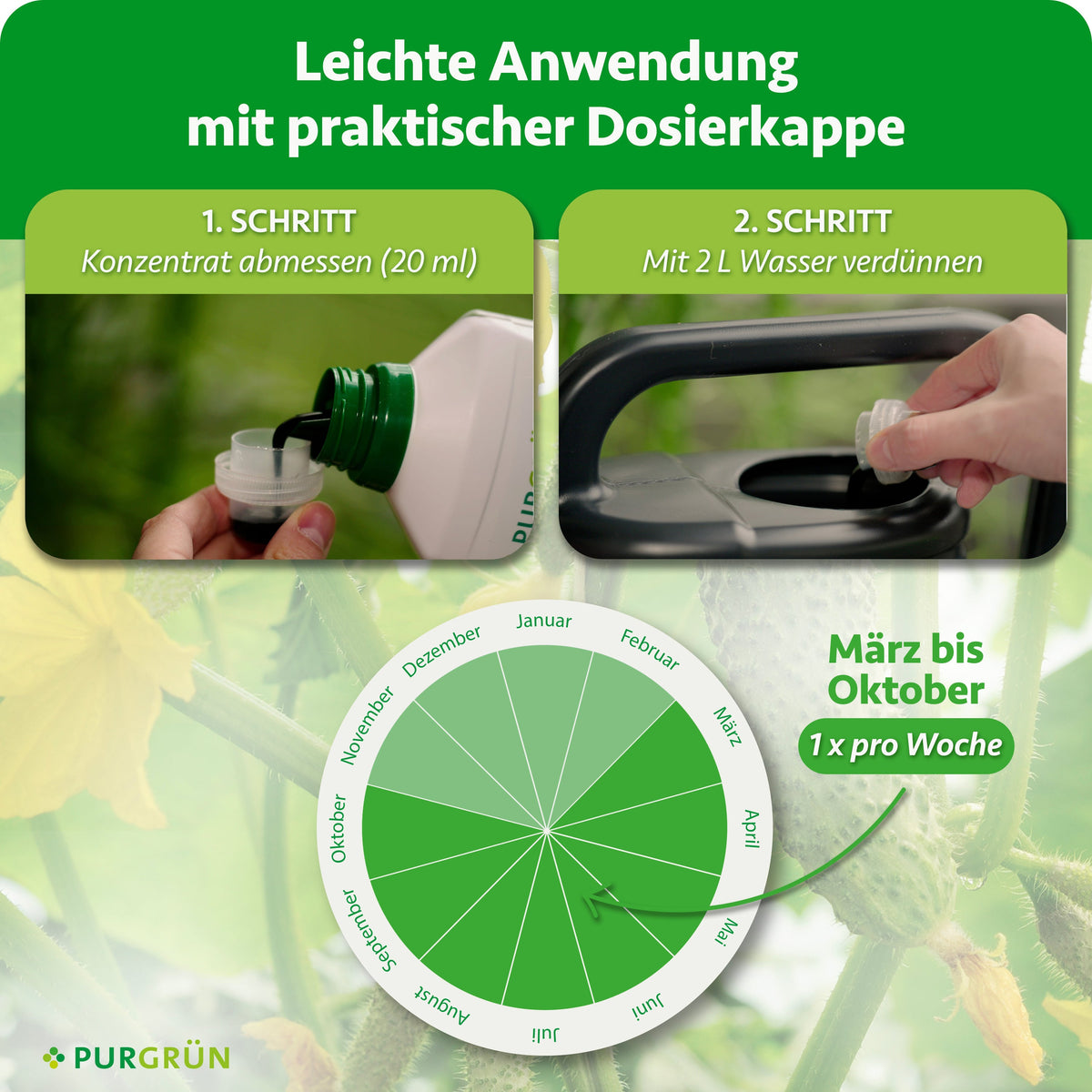 Anwendung: 20 ml Konzentrat abmessen, mit 2 Litern Wasser verdünnen und von März bis Oktober einmal pro Woche düngen.