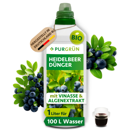 Purgrün Bio-Heidelbeerdünger in der 1-Liter-Flasche mit Dosierkappe, umgeben von Heidelbeeren.