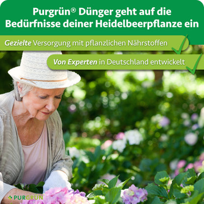 Purgrün Bio-Heidelbeerdünger: gezielte Versorgung mit pflanzlichen Nährstoffen, von Experten in Deutschland entwickelt.