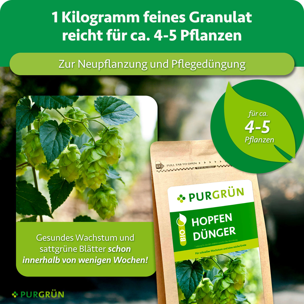 1 kg feines Granulat reicht zur Neupflanzung und Pflegedüngung für ca. 4–5 Hopfenpflanzen und fördert gesundes Wachstum sowie sattgrüne Blätter innerhalb weniger Wochen.