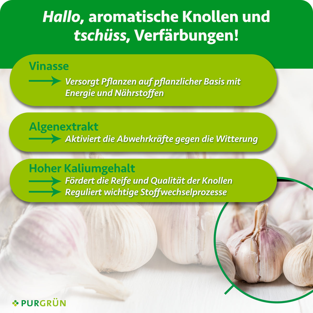 Vinasse liefert Energie und Nährstoffe, Algenextrakt aktiviert die Abwehrkräfte gegen Witterungseinflüsse; hoher Kaliumgehalt fördert Reife und Knollenqualität.