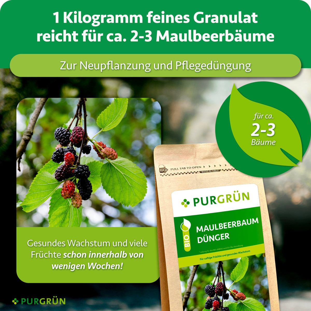 1 kg feines Granulat reicht für ca. 2–3 Maulbeerbäume und eignet sich zur Neupflanzung sowie Pflegedüngung.