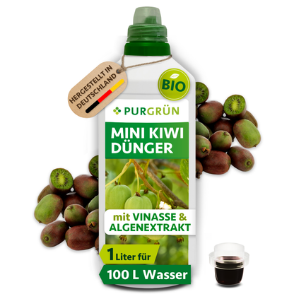 1-Liter-Flasche Purgrün Bio-Mini-Kiwi-Dünger mit Dosierkappe und Mini-Kiwis; ausreichend für ca. 100 Liter Gießwasser.