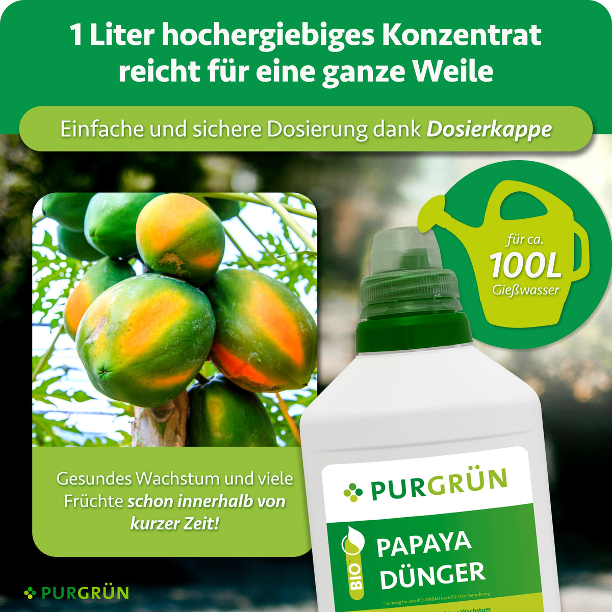1 Liter hochergiebiges Papaya-Dünger-Konzentrat mit Dosierkappe reicht für ca. 100 Liter Gießwasser.