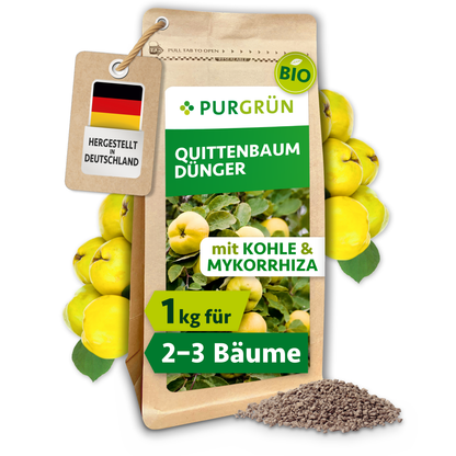 Purgrün Bio-Quittenbaum-Dünger im 1-kg-Beutel mit Kohle und Mykorrhiza, abgebildet mit Quitten und feinem Granulat.