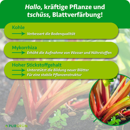 Kohle verbessert den Boden, Mykorrhiza erhöht die Wasser- und Nährstoffaufnahme. Ein hoher Stickstoffgehalt unterstützt neue Blätter und eine stabile Pflanzenstruktur.