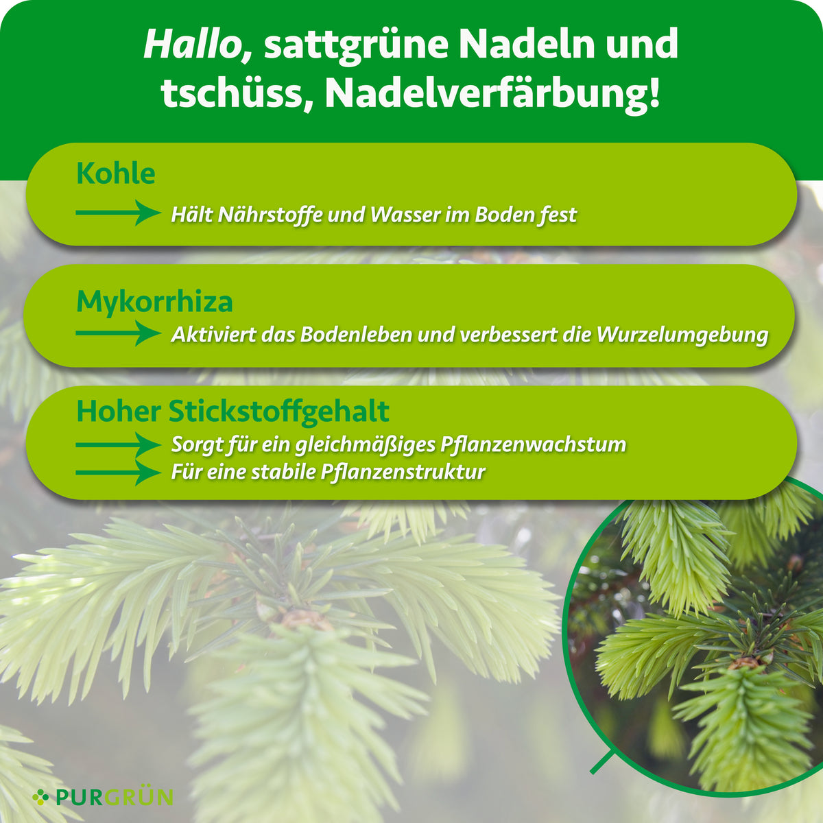 Kohle hält Nährstoffe und Wasser im Boden, Mykorrhiza aktiviert das Bodenleben und verbessert die Wurzelumgebung. Der hohe Stickstoffgehalt fördert gleichmäßiges Wachstum und eine stabile Pflanzenstruktur.