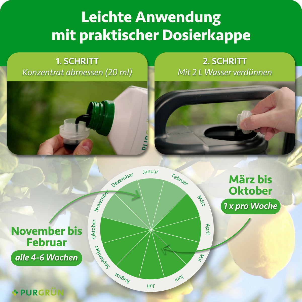 Anwendung: 20 ml Konzentrat mit 2 Litern Wasser verdünnen; März bis Oktober einmal wöchentlich, November bis Februar alle 4–6 Wochen.