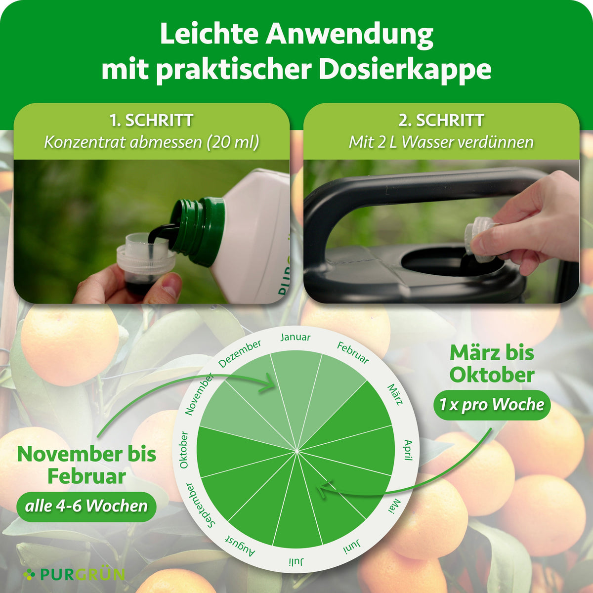 Anwendung: 20 ml Konzentrat abmessen und mit 2 L Wasser verdünnen. Von März bis Oktober 1-mal pro Woche, von November bis Februar alle 4–6 Wochen düngen.