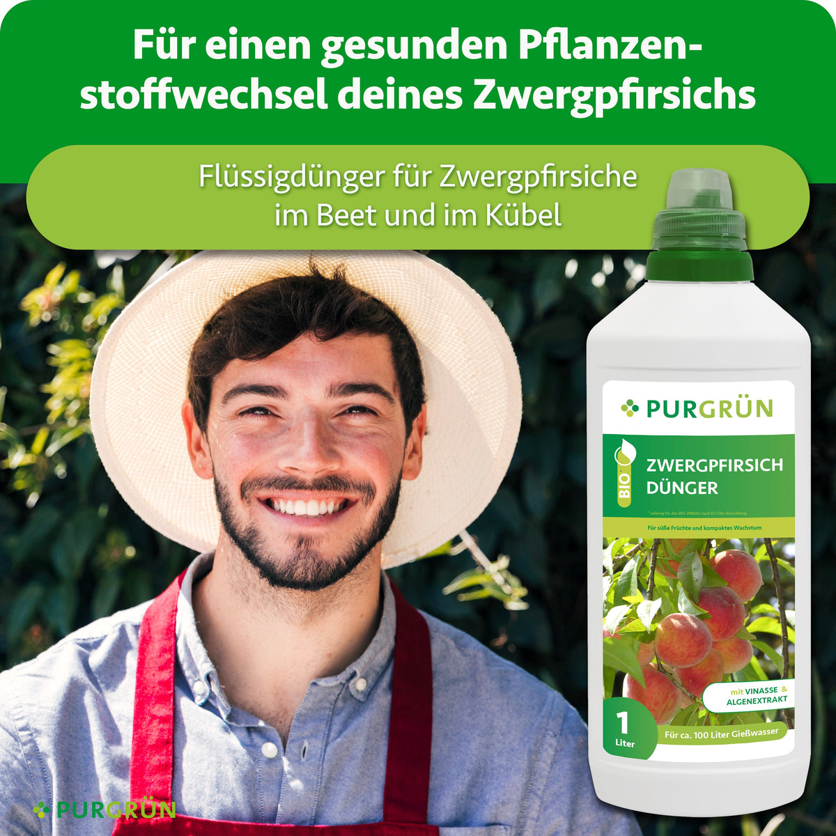 Flüssigdünger für Zwergpfirsiche im Beet und Kübel zur Unterstützung eines gesunden Pflanzenstoffwechsels; daneben ein lächelnder Gärtner.