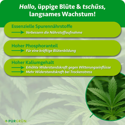 Infografik auf unscharfem Blätterhintergrund mit einer Lupe auf ein grünes Blatt. Text: Hallo, üppige Blüte und tschüss, langsames Wachstum! Essenzielle Spurennährstoffe verbessern die Nährstoffaufnahme, ein hoher Phosphoranteil sorgt für eine kräftige Blütenbildung, ein hoher Kaliumgehalt für mehr Widerstandskraft gegen Witterungseinflüsse und bei Trockenstress.