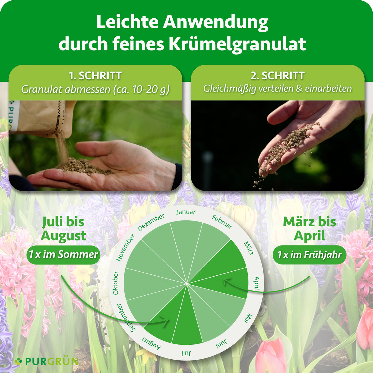 Ca. 10–20 g Granulat abmessen, gleichmäßig verteilen und einarbeiten. Einmal von März bis April und einmal von Juli bis August düngen.