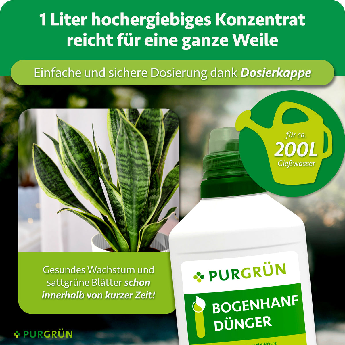 1 Liter hochergiebiges Konzentrat mit Dosierkappe reicht für ca. 200 Liter Gießwasser; daneben Bogenhanf und Düngerflasche.