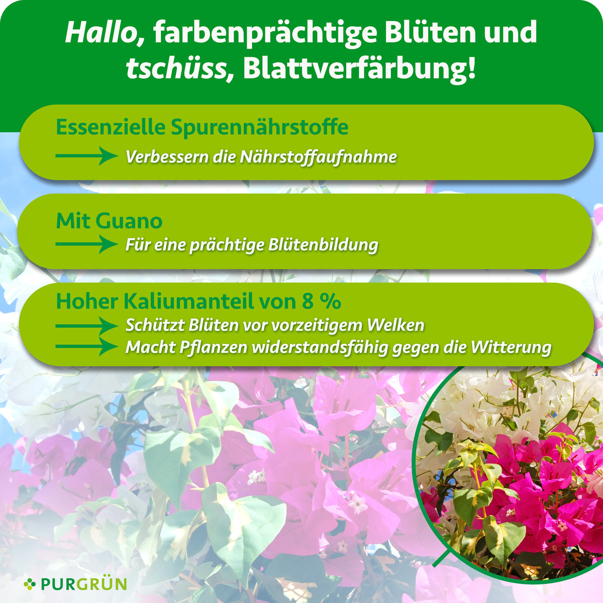 Essenzielle Spurennährstoffe verbessern die Nährstoffaufnahme. Mit Guano für eine prächtige Blütenbildung. 8 % Kalium schützen Blüten vor vorzeitigem Welken und stärken Pflanzen gegen Witterungseinflüsse.