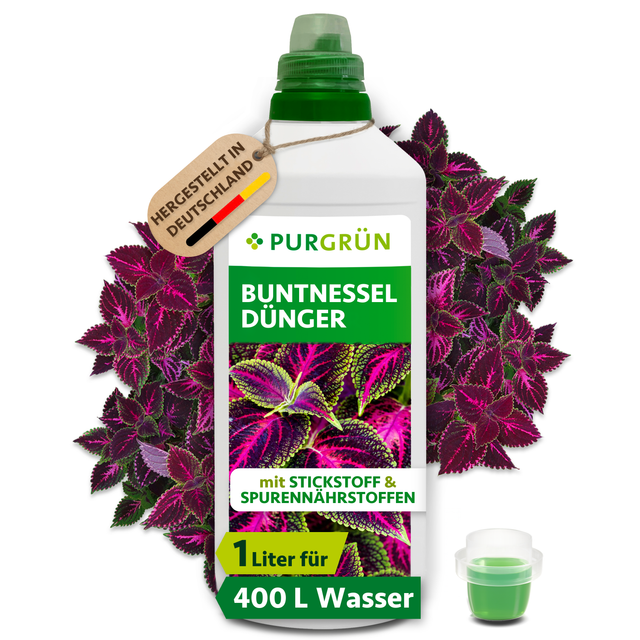 Purgrün Buntnessel-Dünger im 1-Liter-Gebinde mit Dosierkappe vor violett-grünen Buntnesselblättern; reicht für ca. 400 Liter Gießwasser.