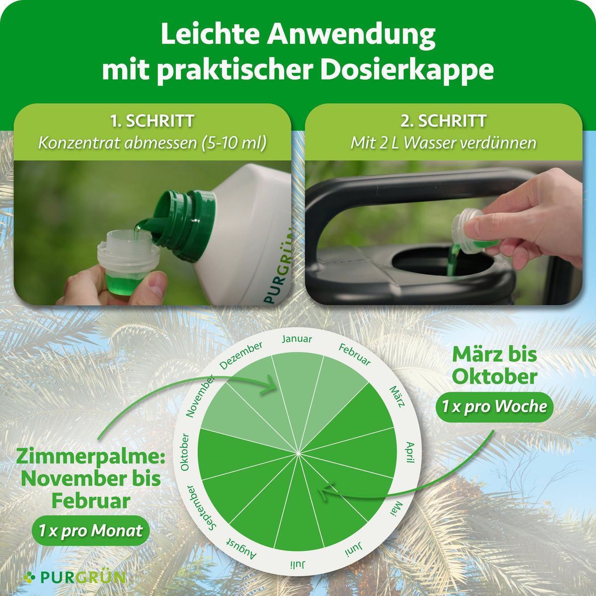 Anwendung: 5–10 ml Konzentrat abmessen und mit 2 Litern Wasser verdünnen. Von März bis Oktober einmal pro Woche, bei Zimmerpalmen von November bis Februar einmal pro Monat anwenden.