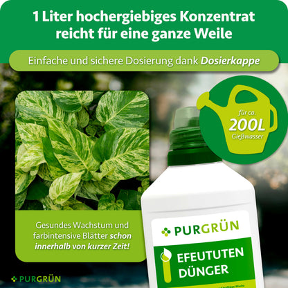 Ein Liter hochergiebiges Efeututen-Dünger-Konzentrat reicht für ca. 200 Liter Gießwasser und lässt sich mit der Dosierkappe einfach dosieren.
