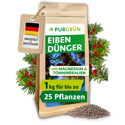 Purgrün Eibendünger im 1-kg-Standbeutel, umgeben von Eibenzweigen mit roten Früchten und feinem Granulat.