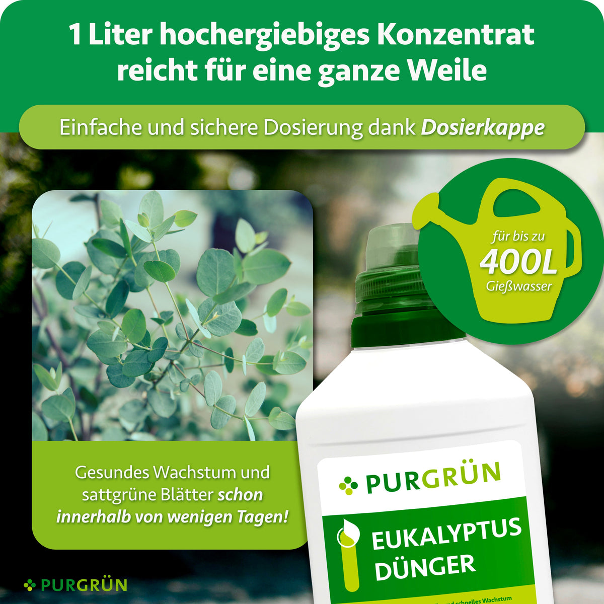 Ein Liter Konzentrat reicht für bis zu 400 Liter Gießwasser und lässt sich mit der Dosierkappe einfach dosieren; sattgrüne Blätter werden innerhalb weniger Tage beworben.