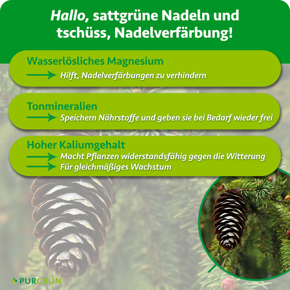 Wasserlösliches Magnesium hilft, Nadelverfärbungen zu verhindern, Tonmineralien speichern Nährstoffe, und ein hoher Kaliumgehalt fördert Widerstandsfähigkeit und gleichmäßiges Wachstum.