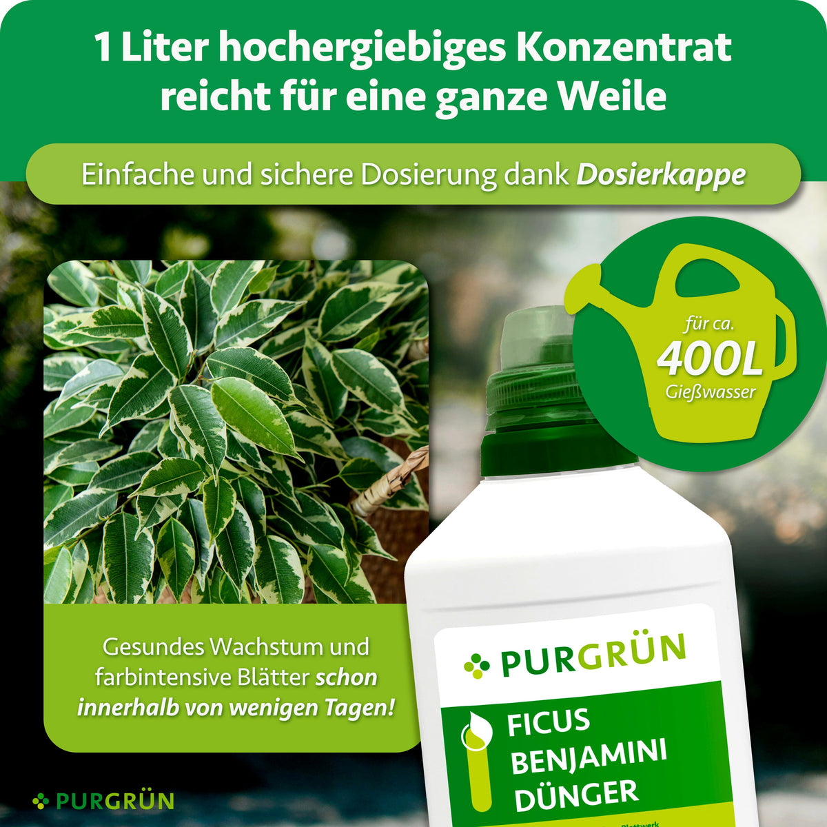 1 Liter Ficus-Benjamini-Dünger ergibt mit Dosierkappe Konzentrat für ca. 400 Liter Gießwasser.