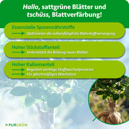 Essenzielle Spurennährstoffe optimieren die Nährstoffversorgung, Stickstoff unterstützt neue Blätter und Kalium Stoffwechsel sowie gleichmäßiges Wachstum.