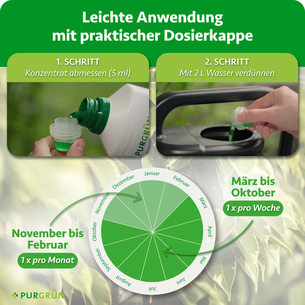 5 ml Konzentrat abmessen und mit 2 L Wasser verdünnen. März bis Oktober einmal pro Woche, November bis Februar einmal pro Monat anwenden.