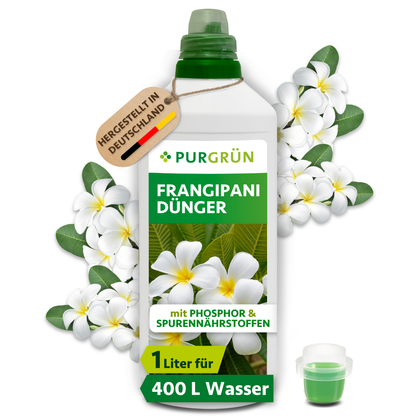 Purgrün Frangipani-Dünger in der 1-Liter-Flasche mit Dosierkappe und weißen Frangipani-Blüten; ausreichend für ca. 400 Liter Gießwasser.