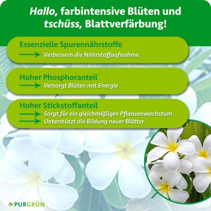 Essenzielle Spurennährstoffe verbessern die Nährstoffaufnahme; hoher Phosphoranteil versorgt Blüten mit Energie, hoher Stickstoffanteil unterstützt gleichmäßiges Wachstum und neue Blätter.