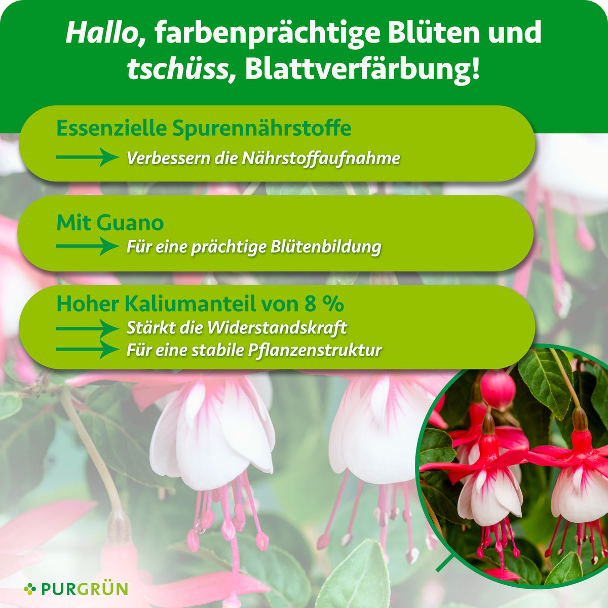 Essenzielle Spurennährstoffe verbessern die Nährstoffaufnahme. Mit Guano für eine prächtige Blütenbildung. 8 % Kalium stärken die Widerstandskraft und sorgen für eine stabile Pflanzenstruktur.