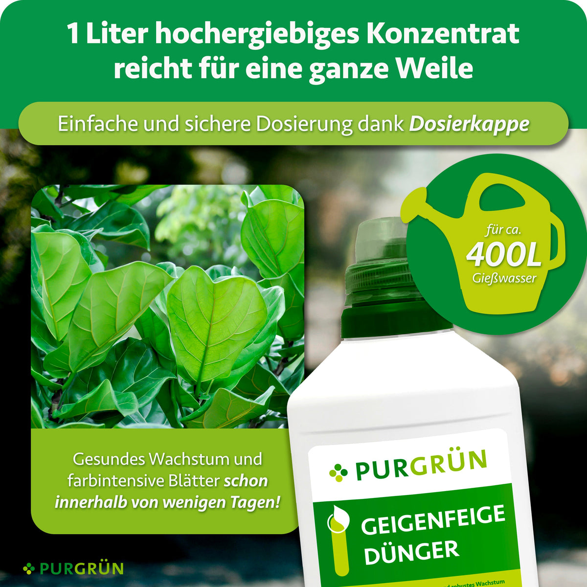1 Liter Konzentrat mit Dosierkappe reicht für ca. 400 Liter Gießwasser; gesundes Wachstum und farbintensive Blätter werden innerhalb weniger Tage versprochen.