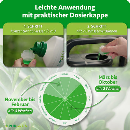 Anwendung: 5 ml Konzentrat mit 2 Litern Wasser verdünnen; von März bis Oktober alle 2 Wochen, von November bis Februar alle 4 Wochen düngen.