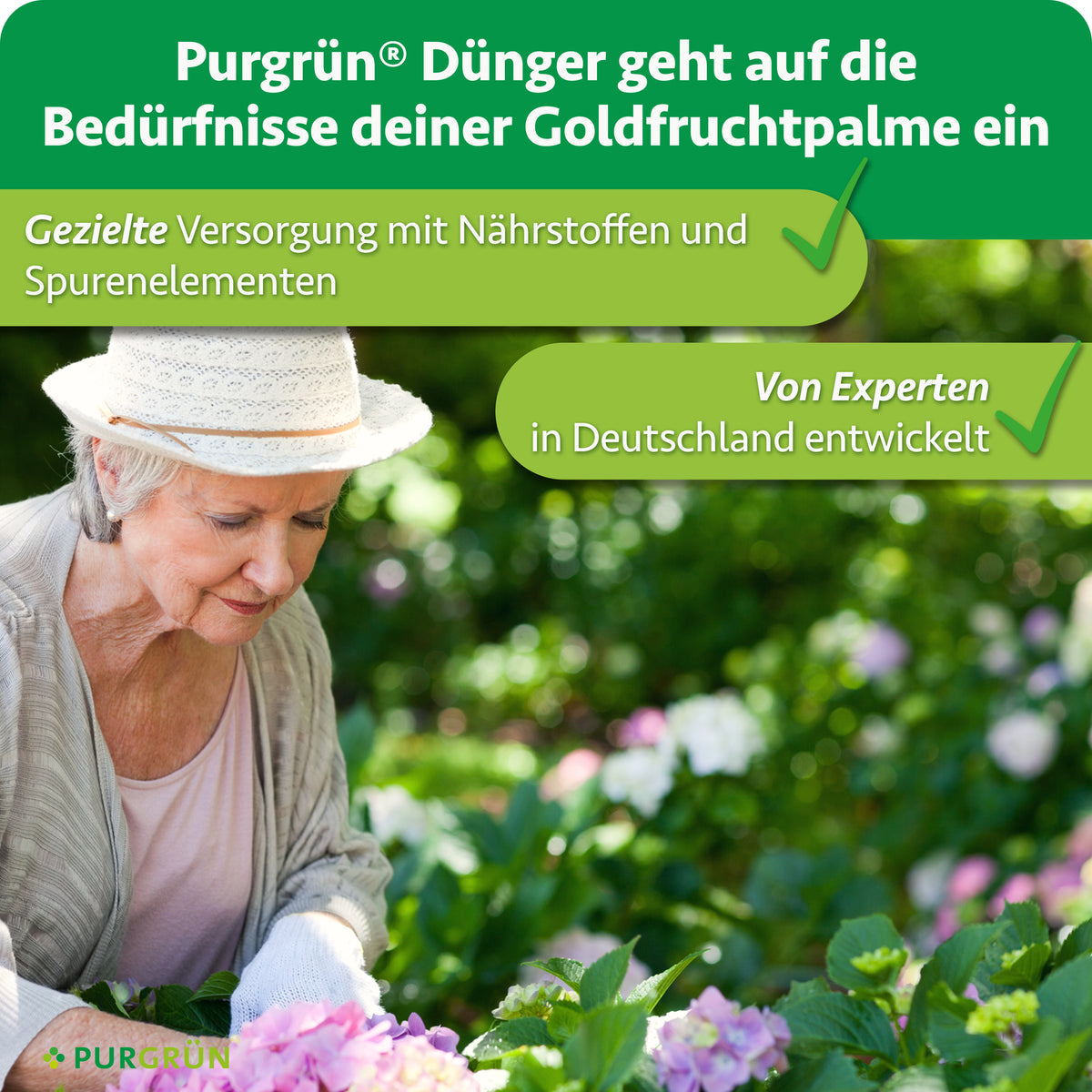Purgrün Goldfruchtpalme-Dünger: gezielte Versorgung mit Nährstoffen und Spurenelementen, von Experten in Deutschland entwickelt.
