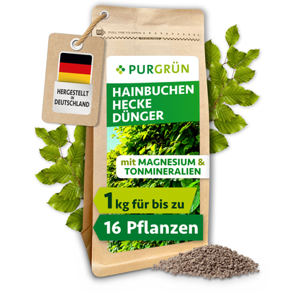 Purgrün Hainbuchenhecke-Dünger im 1-kg-Standbeutel, umgeben von Hainbuchenblättern und feinem Granulat.
