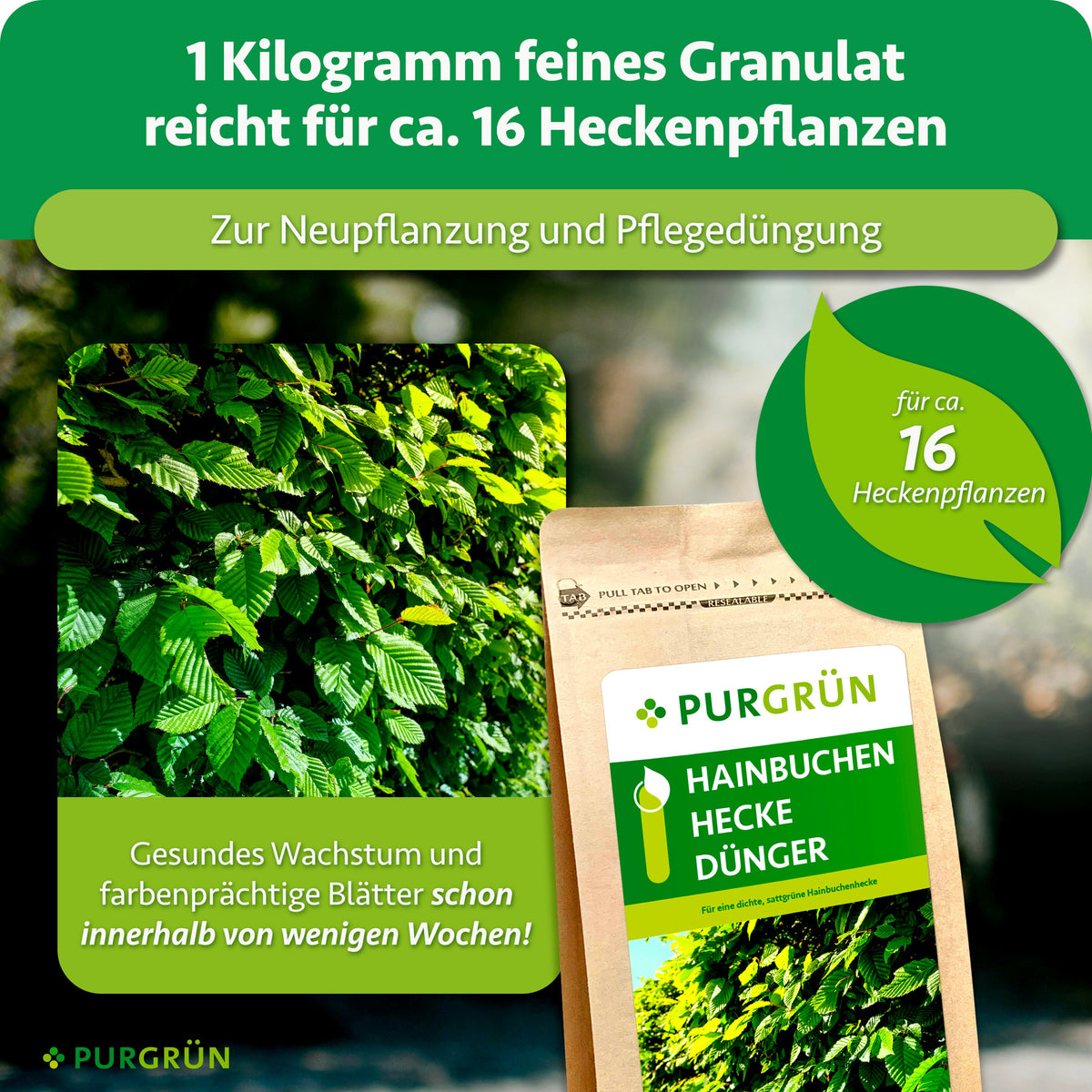 1 kg feines Granulat reicht für ca. 16 Heckenpflanzen und eignet sich zur Neupflanzung sowie Pflegedüngung.