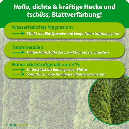 Wasserlösliches Magnesium stärkt das Blattgewebe, Tonmineralien halten Nährstoffe verfügbar und 8 % Stickstoff unterstützen neue Blätter sowie gleichmäßiges Wachstum.