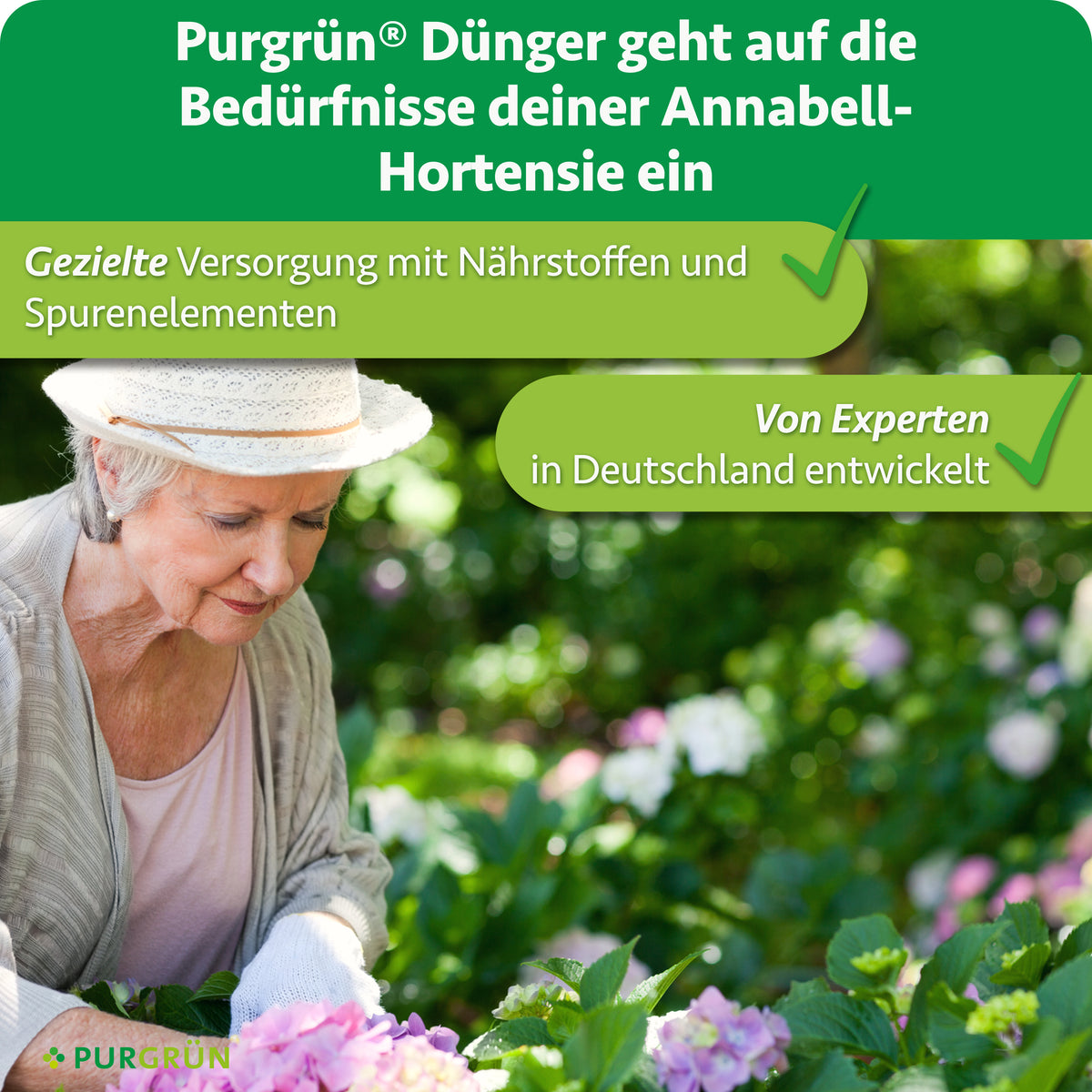Purgrün Hortensie-Annabell-Dünger: gezielte Versorgung mit Nährstoffen und Spurenelementen, von Experten in Deutschland entwickelt.