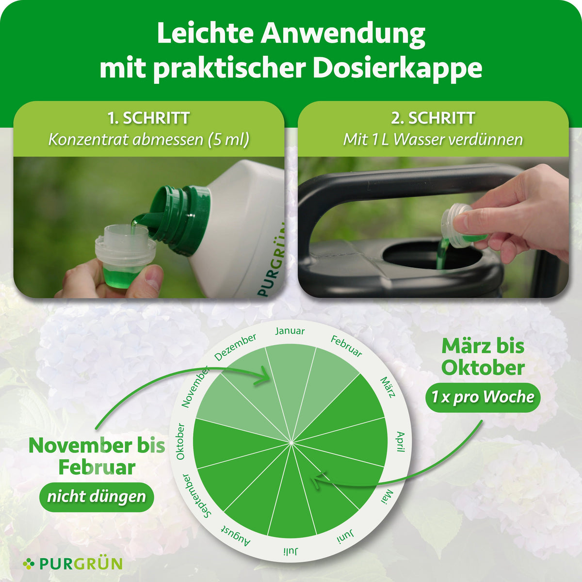 Purgrün Hortensiendünger 1 Liter (NPK 10-8-6) wird von Hand in eine Dosierkappe gefüllt, in einer Gießkanne mit Wasser vermischt und von März bis Oktober wöchentlich gedüngt; von November bis Februar wird nicht gedüngt.