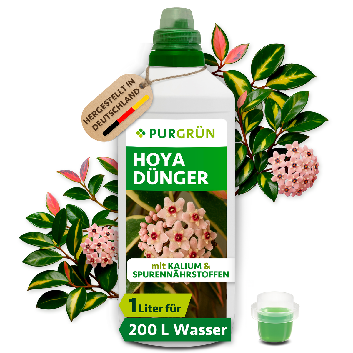 Purgrün Hoya-Dünger in der 1-Liter-Flasche mit Dosierkappe, umgeben von Hoya-Blüten und Blättern, mit Anhänger „Hergestellt in Deutschland“.
