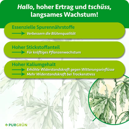 Essenzielle Spurennährstoffe verbessern die Blütenqualität, Stickstoff fördert kräftiges Pflanzenwachstum und Kalium erhöht die Widerstandskraft gegen Witterungseinflüsse und bei Trockenstress.