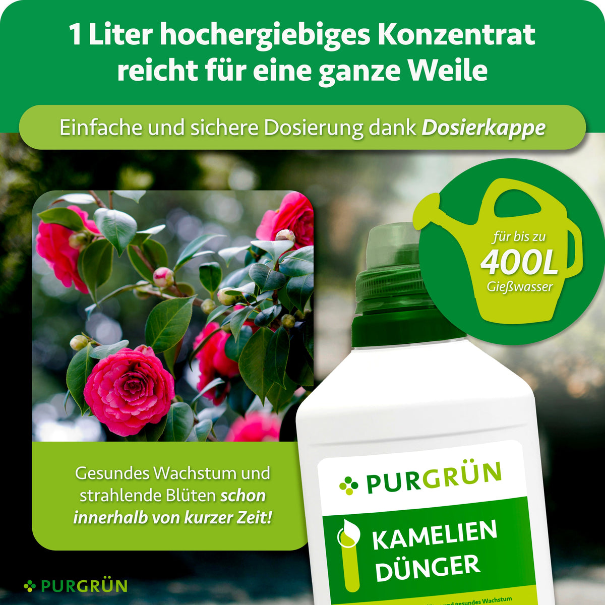 1 Liter hochergiebiges Konzentrat mit Dosierkappe reicht für bis zu 400 Liter Gießwasser und unterstützt gesundes Wachstum sowie strahlende Blüten.