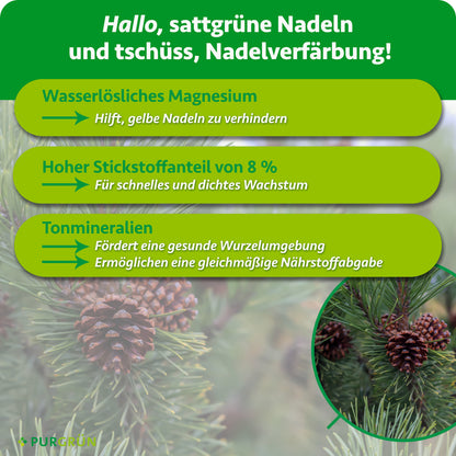 Wasserlösliches Magnesium hilft, gelbe Nadeln zu verhindern, 8 % Stickstoff fördern schnelles, dichtes Wachstum. Tonmineralien unterstützen eine gesunde Wurzelumgebung und gleichmäßige Nährstoffabgabe.