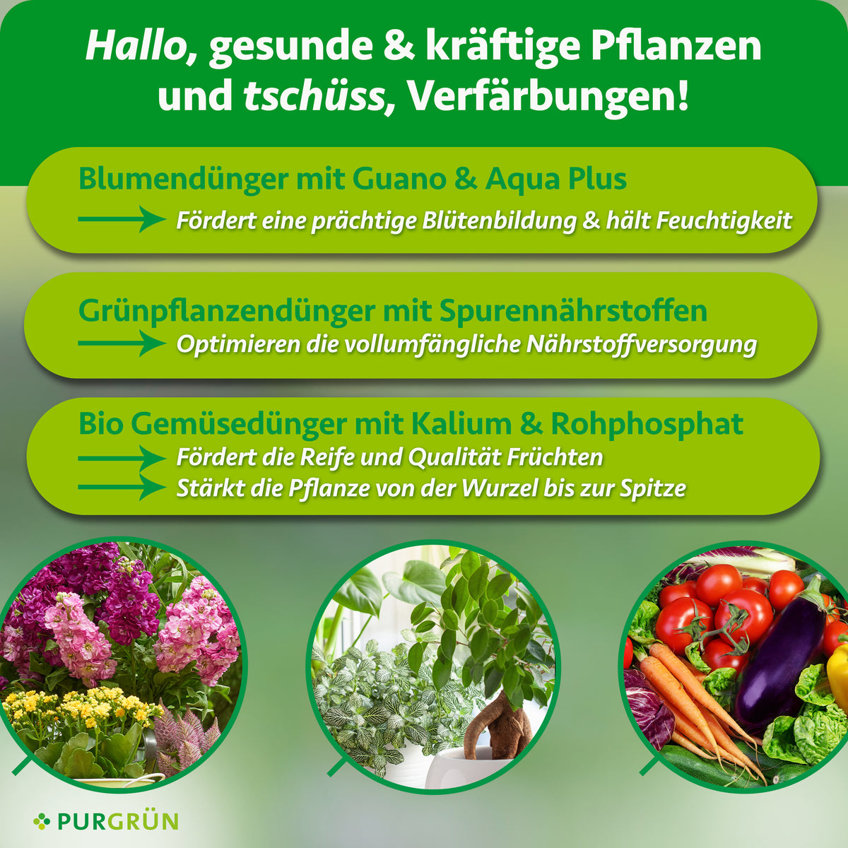 Blumendünger mit Guano für eine prächtige Blütenbildung, Aqua Plus hält Feuchtigkeit; Grünpflanzendünger mit Spurennährstoffen optimiert die Nährstoffversorgung. Bio-Gemüsedünger mit Kalium und Rohphosphat fördert Reife und Fruchtqualität und stärkt die Pflanze von der Wurzel bis zur Spitze.